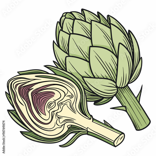 illustration of artichoke