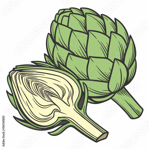 artichoke isolated on vector