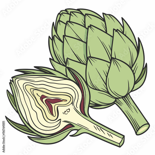 artichoke on white background