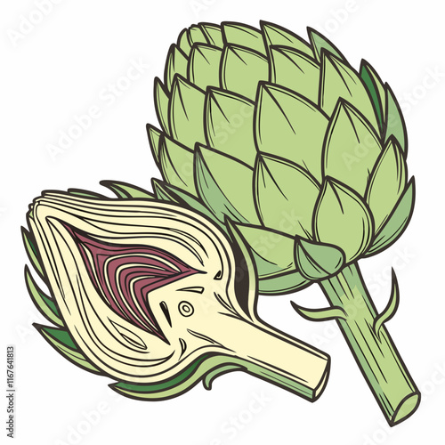 illustration of a artichoke