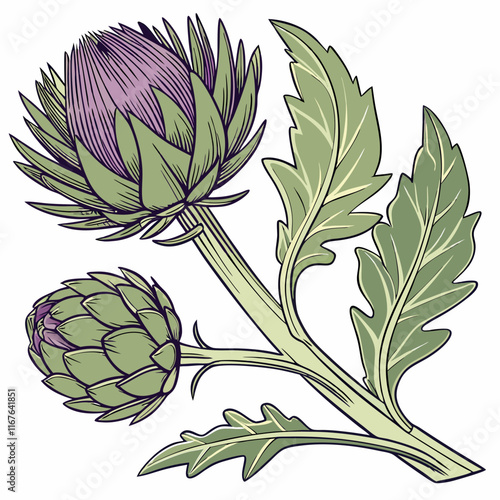 artichoke isolated on vector