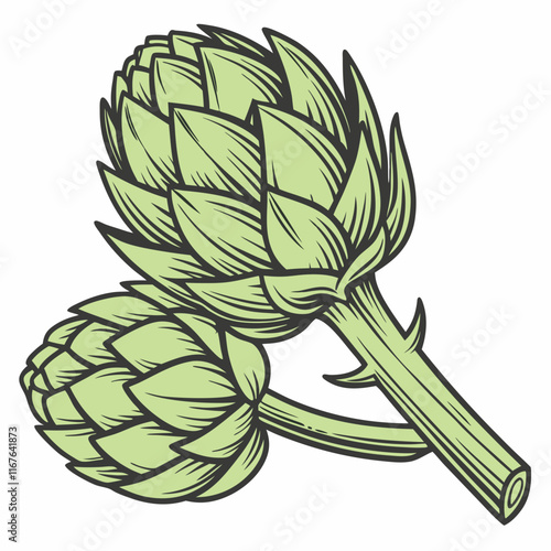 artichoke isolated on vector