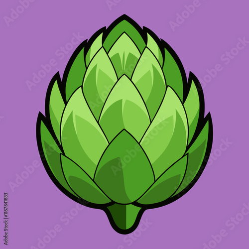 artichoke isolated on vector