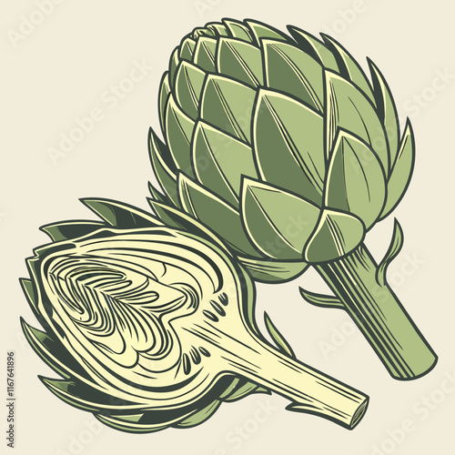 artichoke isolated on vector