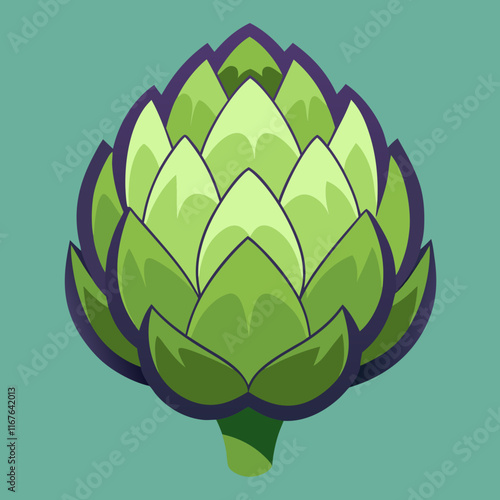 artichoke isolated on vector