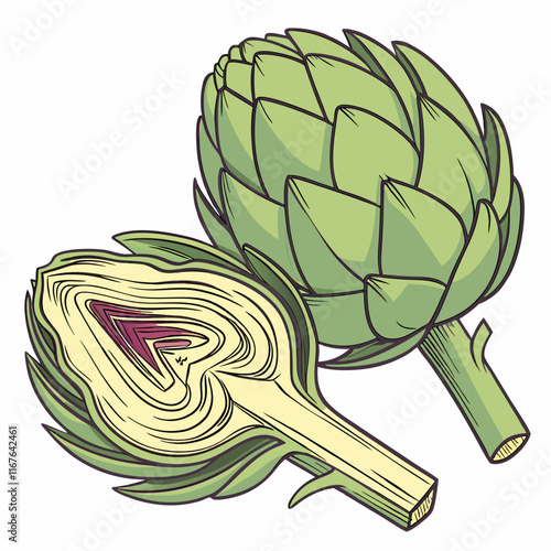 artichoke isolated on white