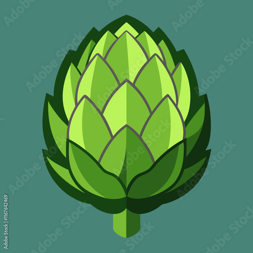 artichoke isolated on vector