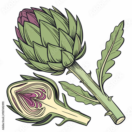 illustration of a artichoke