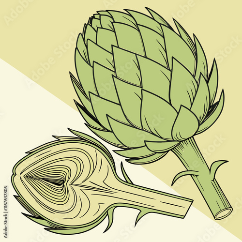 illustration of a artichoke
