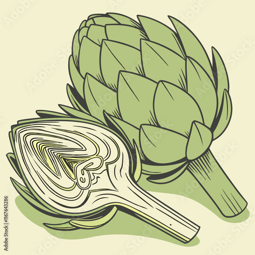 illustration of a artichoke