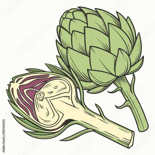 illustration of artichoke