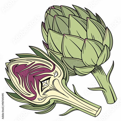 illustration of a artichoke