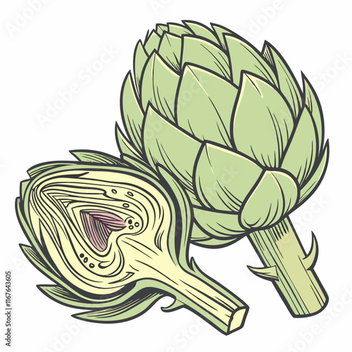 illustration of a artichoke