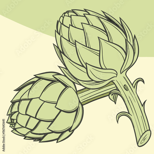 illustration of a artichoke