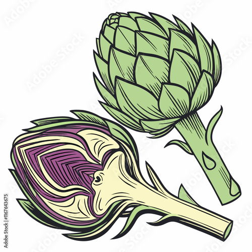 illustration of a artichoke