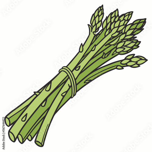 bunch of fresh asparagus