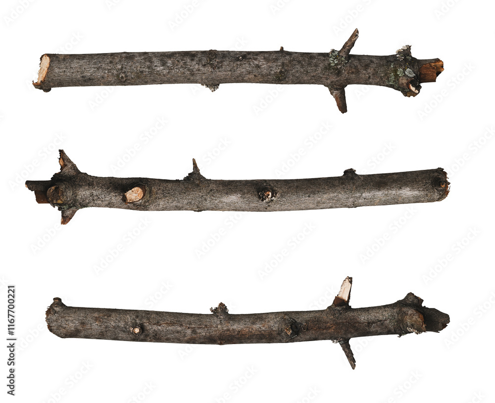 Set of dry cut branches with knots isolated on white background. Set of dry cut branches with knots isolated on white background.