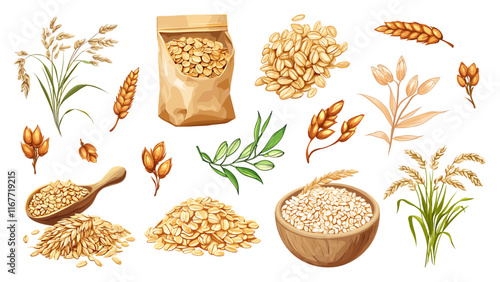 Oats grain set. Oat wheat with leaves grain meal in the bowl in a pile. Healthy eating breakfast. Harvesting agricultural wheat. Natural organic wholegrain food. Cartoon style isolated vector clipart