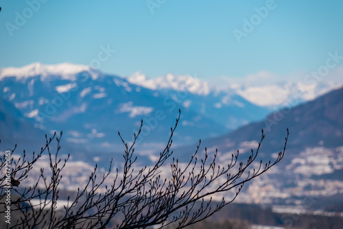 Selective focus on shrub branch with blurred view of Villach city seen from Taborhoehe in Carinthia, Austria. Surrounded by snow capped mountains of Julian Alps and Gailtal Alps. Frosty winter scene photo