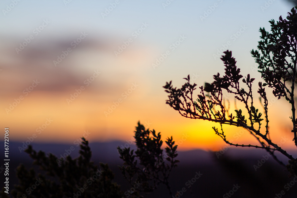 Obraz premium Sunset with Natural Elements