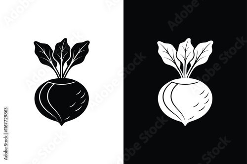 Kohlrabi icon vector on White Background ,Vector Art Illustration on white background.