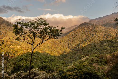 Lush mountains near Minca, Colombia photo