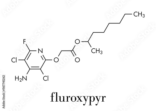 Fluroxypyr herbicide molecule. Skeletal formula.
