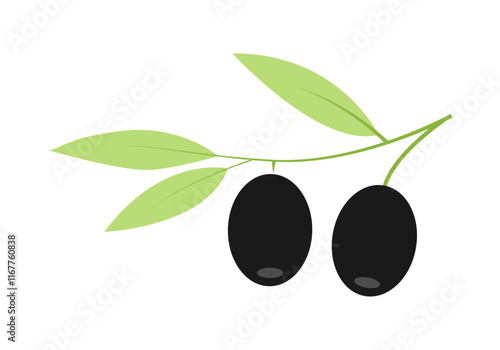 Rama con hojas y aceitunas u olivas negras