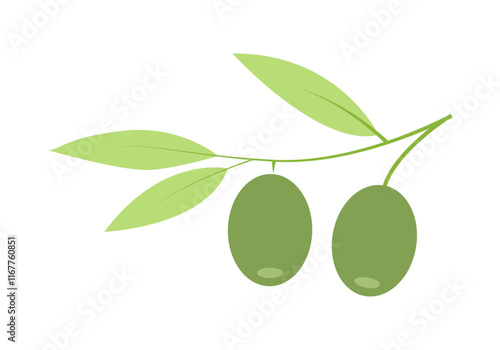 Rama con dos aceitunas u olivas verdes