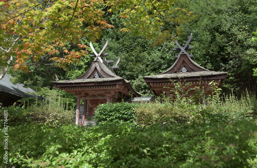 円成寺　春日堂と白山堂　奈良市忍辱山町 photo