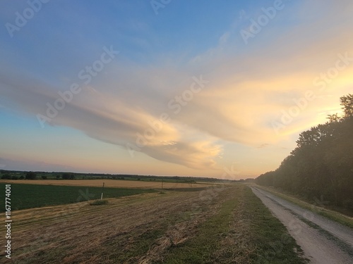 sunset over the road