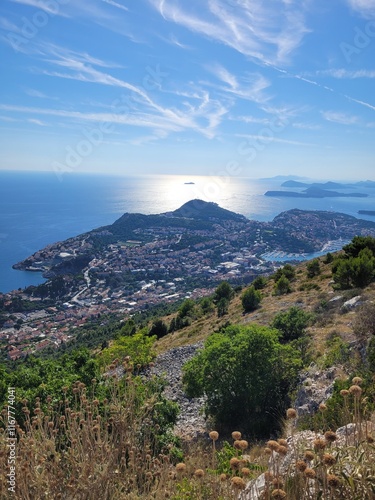 view from the top of the mountain