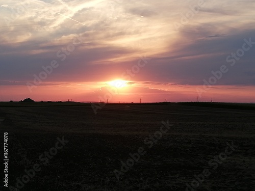 sunset over the field
