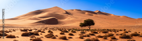 Tadrart Rouge, meaning Red Mountain, a mountain range in southeastern Algeria, part of the Algerian Desert providing massive dunes, rock formations and Martain landscapes