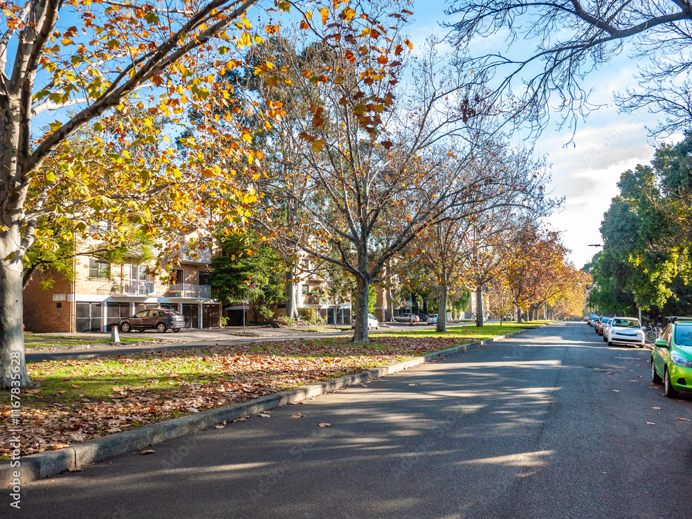A quiet suburban street in North Melbourne, Australia during autumn, lined with apartment buildings, trees shedding golden leaves and parked cars along the roadside. A quiet suburban street in North Melbourne, Australia during autumn, lined with apartment buildings, trees shedding golden leaves and parked cars along the roadside.