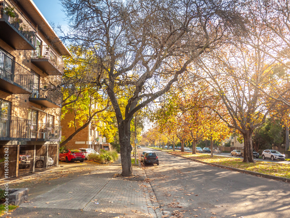 A peaceful suburban street in North Melbourne, lined with mature trees displaying autumn colors and a row of apartment buildings with balconies. Neighbourhood in VIC Australia. A peaceful suburban street in North Melbourne, lined with mature trees displaying autumn colors and a row of apartment buildings with balconies. Neighbourhood in VIC Australia.