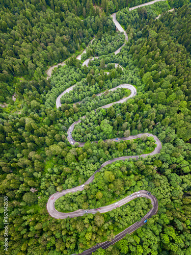 Aerial view of a winding road through a dense green forest with cars driving along it