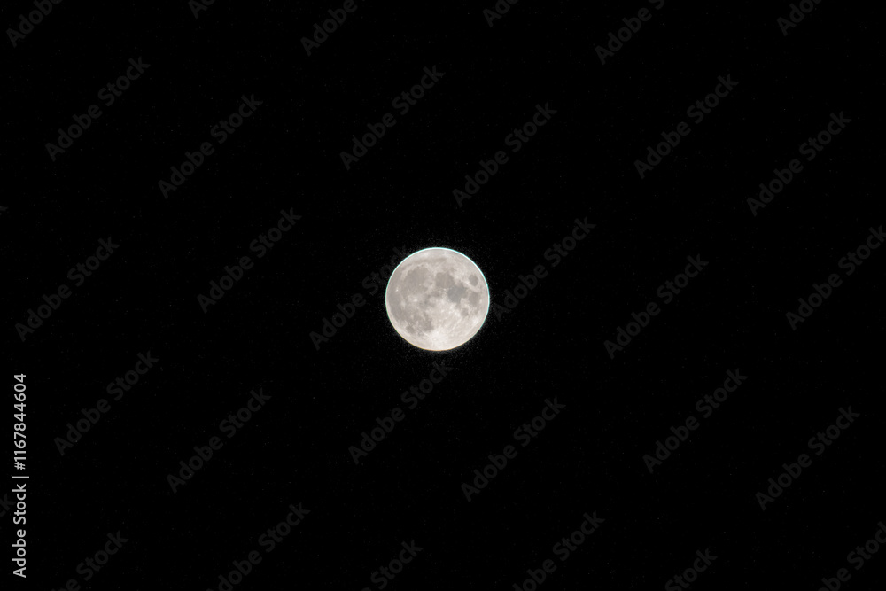 full moon in the night sky full moon in the night sky