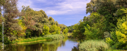 A view of the river with wooded banks, panorama, banner, summer natural landscape