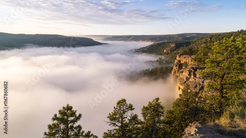 Serene Morning Bliss: Foggy Hilltop Panorama Bathed in Early Light for Peaceful Reflections