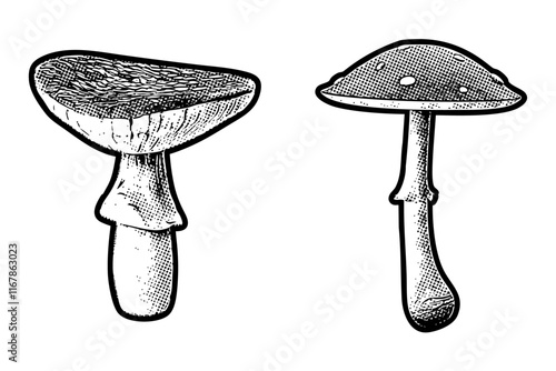 Stylized mushroom illustrations in retro black and white halftone newspaper print graphic style