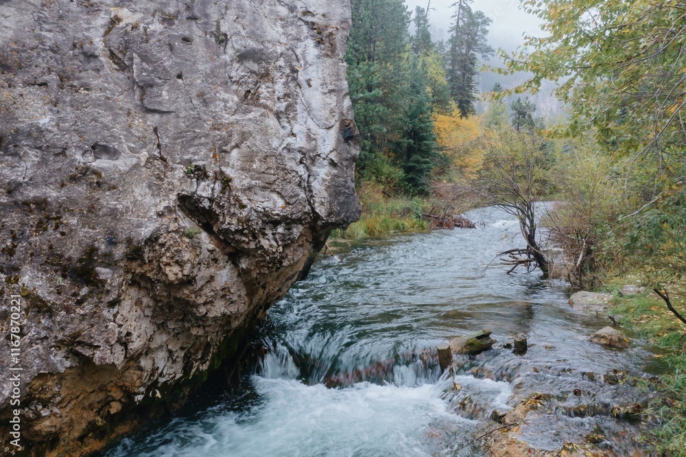 Obraz premium Autumn stream cascading over rocks. Nature's beauty in a misty forest. , Lead, South Dakota, USA.