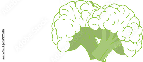 cauliflower on white background vector art 