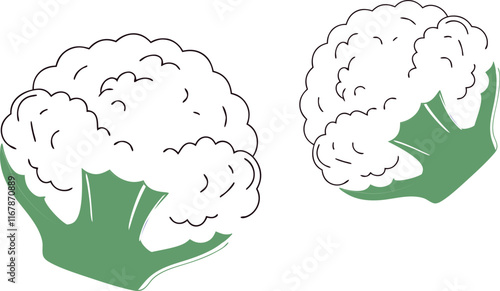 cauliflower on white background vector art 