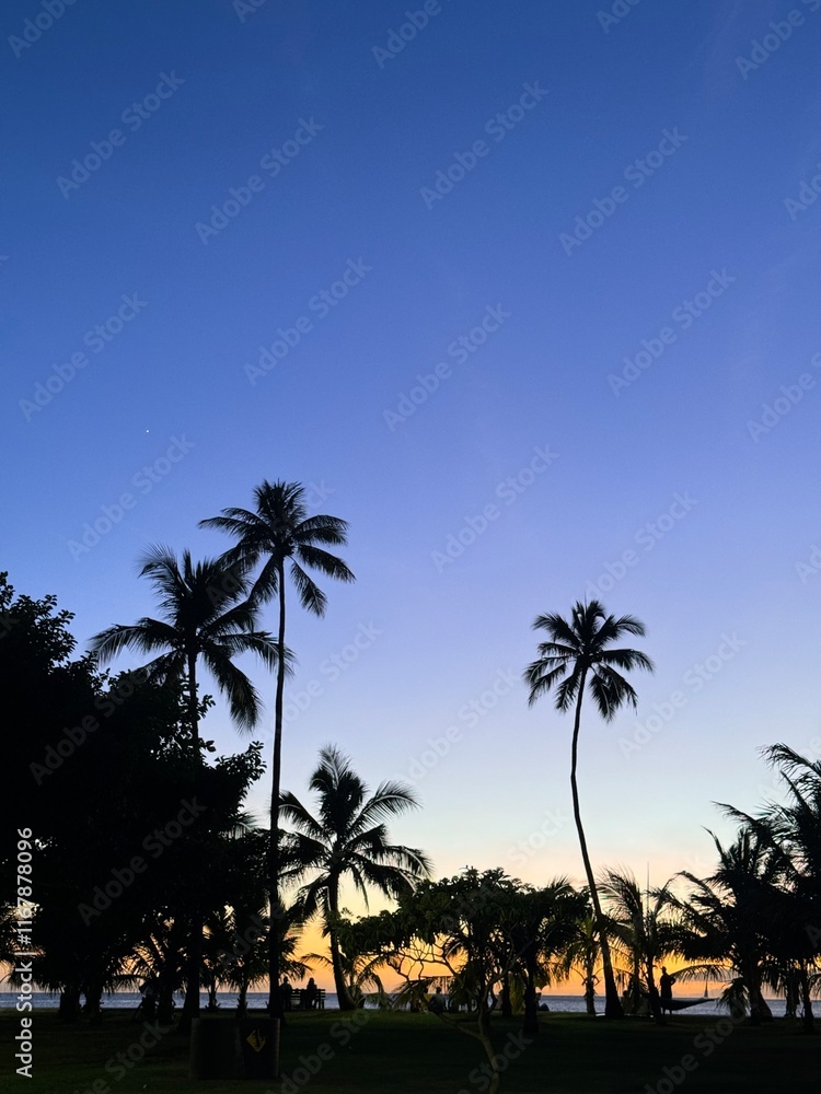 Obraz premium sunset sky with palm trees