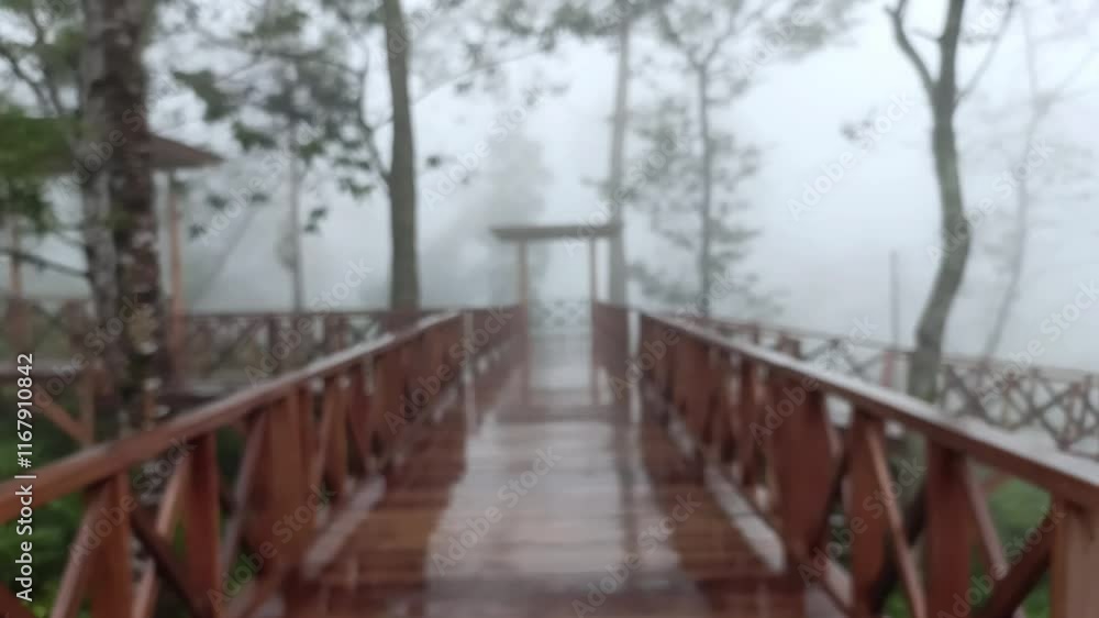 blur of view wooden bridge above tea plantation between trees covered in mist, out of focus, abstract blur of view wooden bridge above tea plantation between trees covered in mist, out of focus, abstract