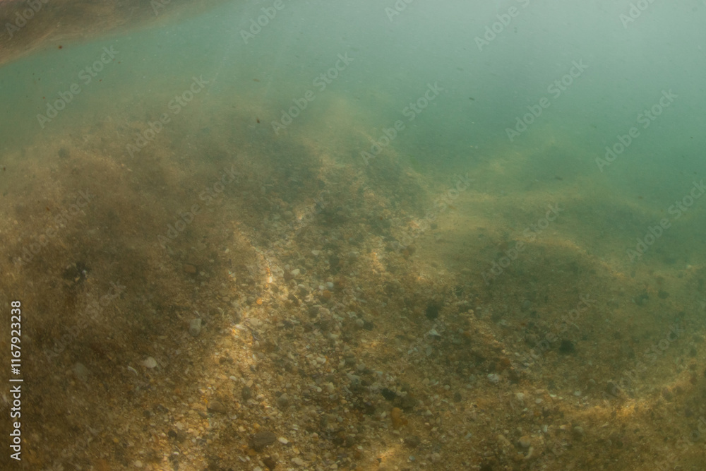 Fototapeta premium Underwater view of sandy ocean floor.