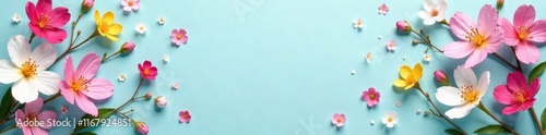 Vibrant mixed spring blossoms scattered on a pale blue paper backdrop , colorful, pale
