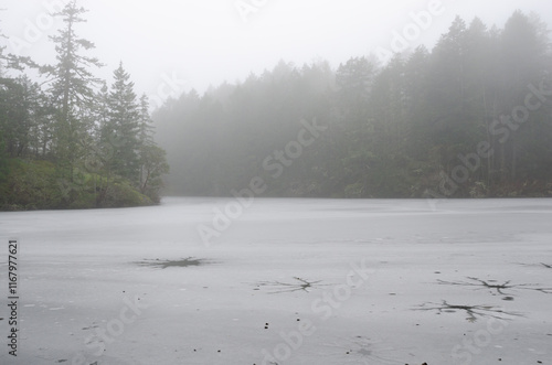 A partially frozen Thetis Lake on a winter's day in Victoria, BC Canada photo