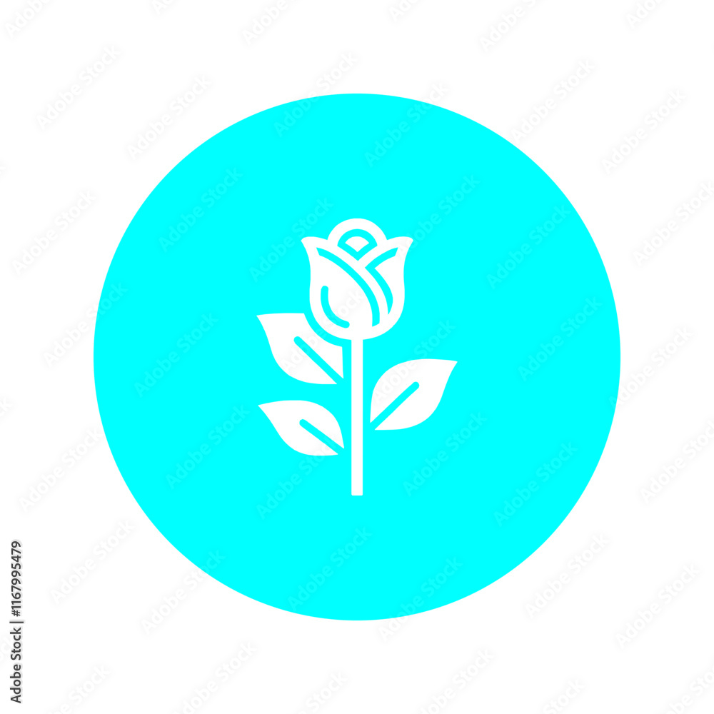 Fototapeta premium Rose Flower